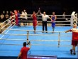 Daha iki boksçumuz Avropa birinciliyinin yarımfinalında&nbsp;